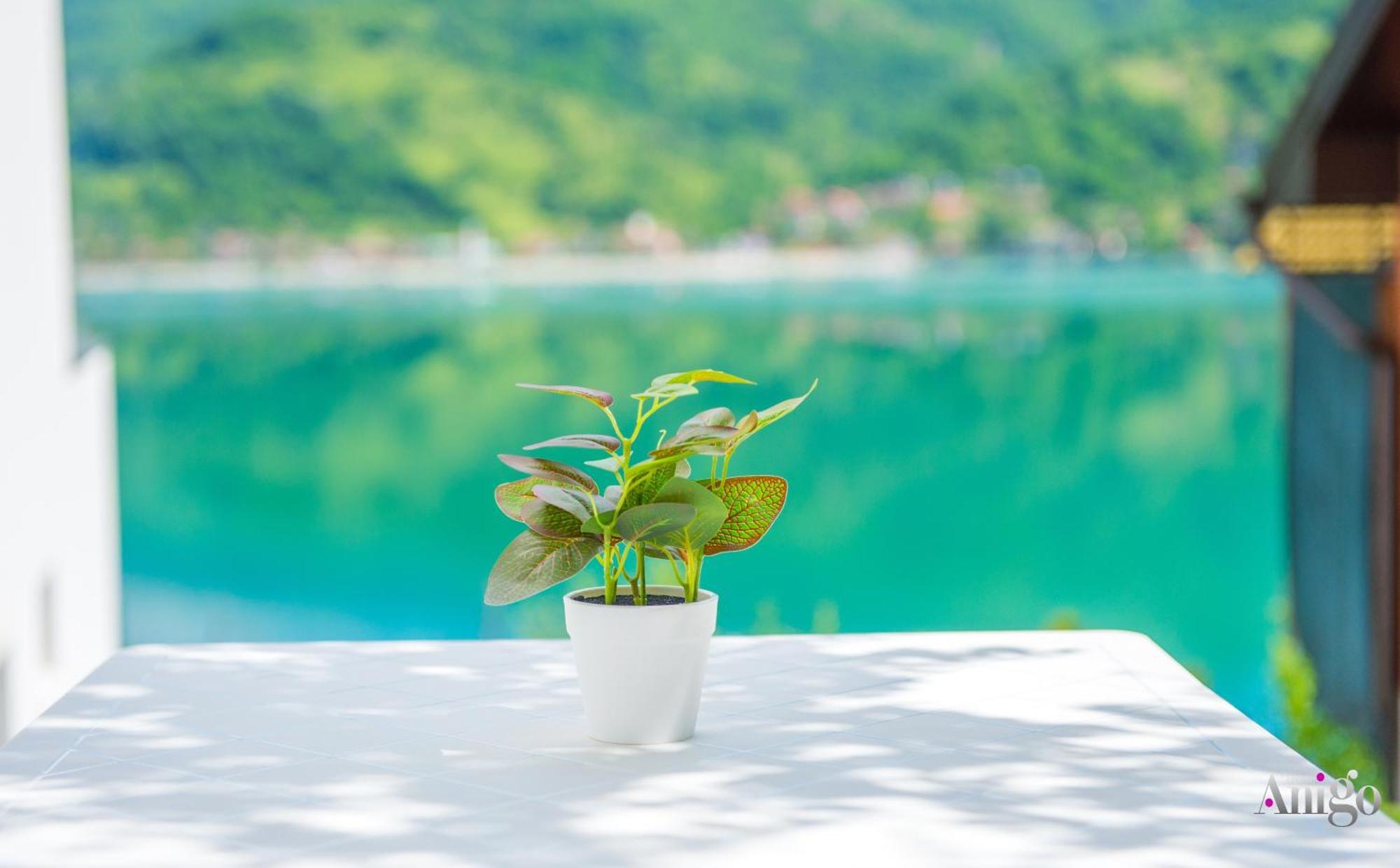 Royal Terrace Apartments 科尼茨 外观 照片